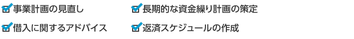 事業計画の見直し｜長期的な資金繰り計画の策定｜借入に関するアドバイス｜返済スケジュールの作成